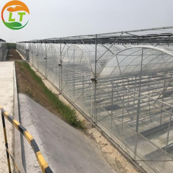 Galvanized Skeleton Cover Film for Agricultural Product in Shouguang Easy to Install