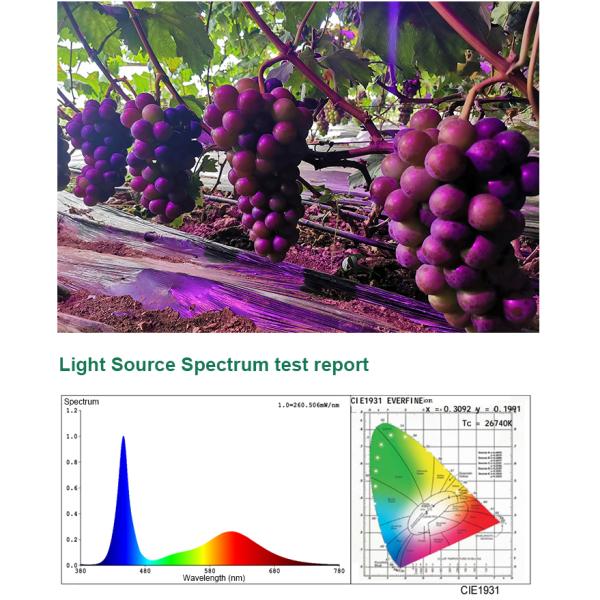 Samsung LED Type Full Spectrum Grow Light for Greenhouse 36w 45w 50w E27
