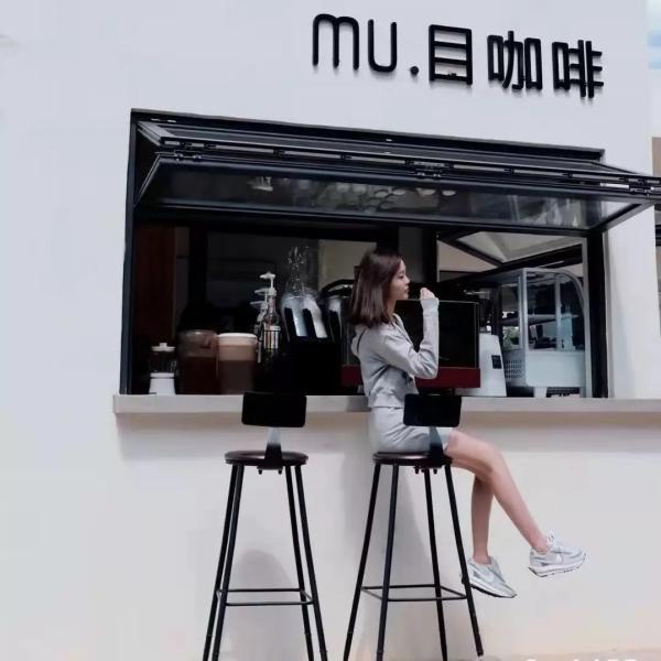 Miami HVHZ Impact Resistant Folding Windows - Large Missile Test Certified