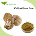China Natural Organic Lion's Mane Mushroom Extract Kosher Certified for sale