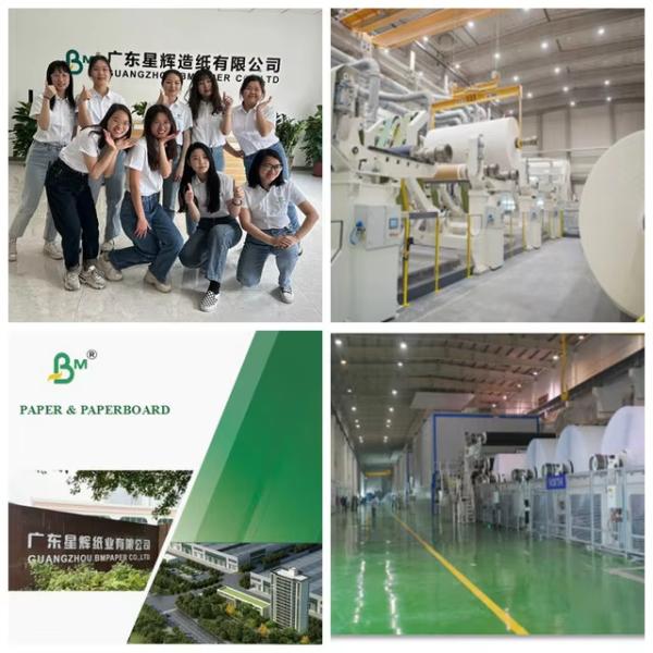 300g 350g White Coated Folding Carton Board For High-end Printing 65 x 90cm 