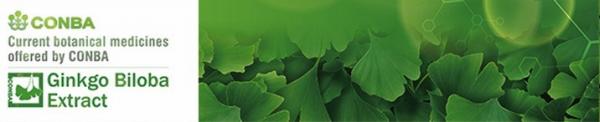 100% Natural Ginkgo Extract With Advanced Extraction Technology