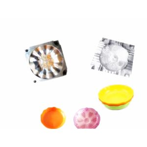 Quality Fruit Dish Twin Shot Injection Moulding , Vegatable Plate Two Color Injection Molding for sale