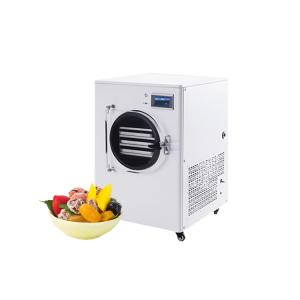 China Heavy Duty Fresh Potato Chips Manufacturing Freeze Dryer Food Freeze Dryer Mini Machine For Wholesales on sale