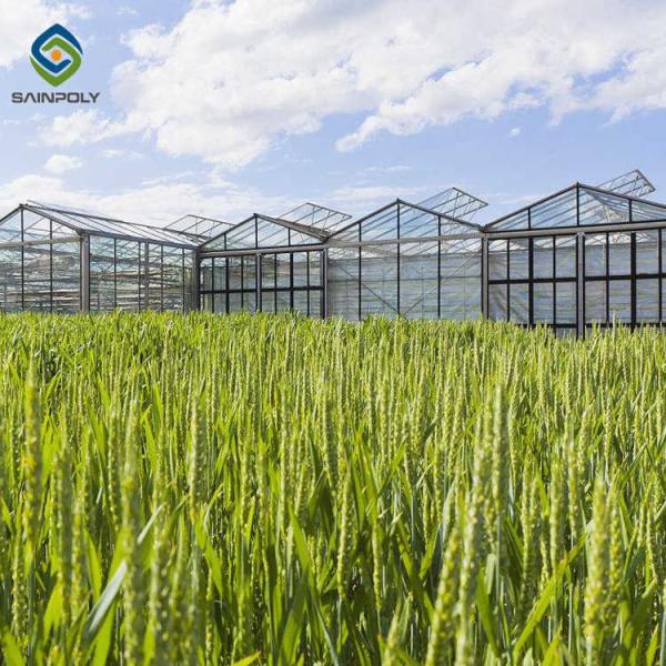 120km/H Agricultural 9.6m Multi Span Glass Greenhouses