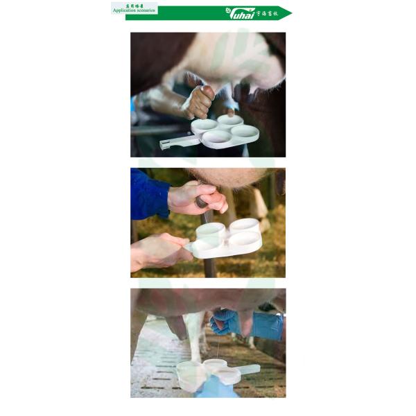 Mastitis Sample Spoon For CMT Testing, Mastitis Test Plate For Milk Sampling