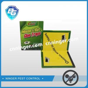 China China mouse trap supplier,paperboard mouse glue board factory on sale