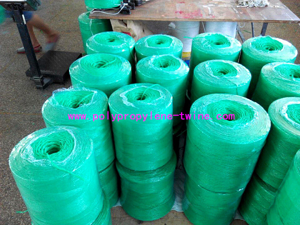 Trellising Peppers And Tomatoes Twine 1200m/Kg 1000m/Kg Uv Stabilization 2%