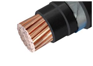Quality Shenghua Group PVC Insulated 0.6/1kV Steel Armored Cable Multi Cores for sale