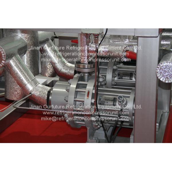 Two Stage Co2 Refrigeration System For Fast Frozen Freezing Room