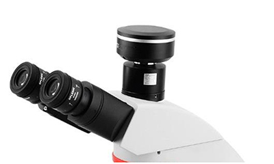 OPTO EDU A16.2263 BGUV Biological Laboratory Trinocular Fluorescent Microscope