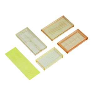 Zeta Potential Measurement Microchip Microfuidic Chips