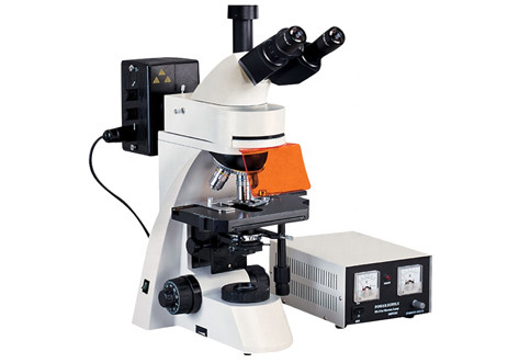 Trinocular Led Fluorescence Microscope 1000X Kohler Illumination UV Light Microscope