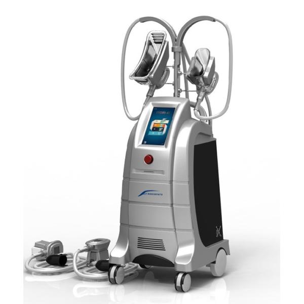 New Design 4 handles cryolipolysis,hot cryolipolysis cool body sculpting machine,two handl