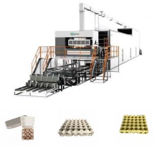 China Powerful Paper Tray Making Machine High Precision And Accuracy on sale