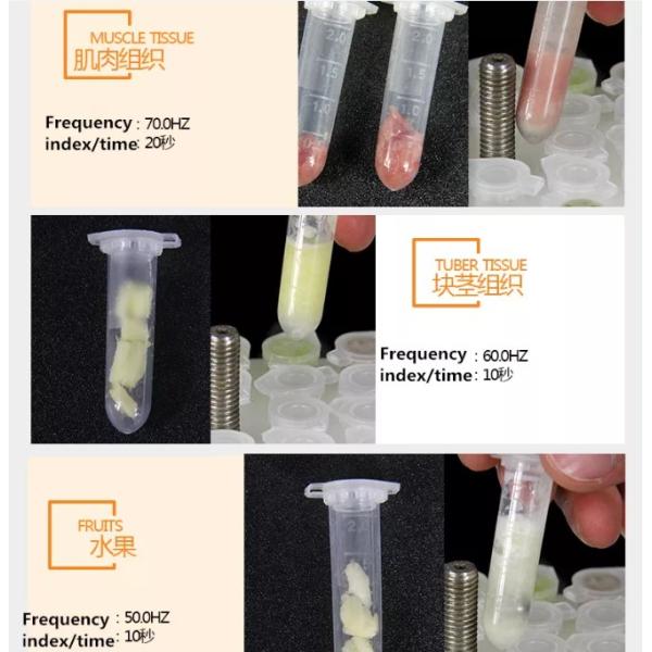 2ml Biology Laboratory Equipment PTFE 70hz Tissue Grinder Machine