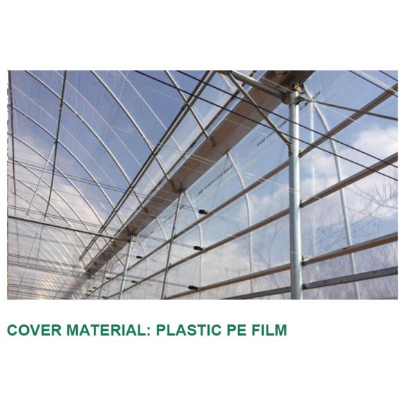 Automatical Controlling System Galvanized Steel Frame Film Greenhouse for Agriculture