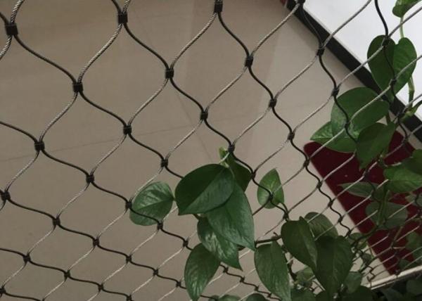 Buy Stainless Steel Wire Rope Plant Trellis Systems Climbing Net Customized Size at wholesale prices