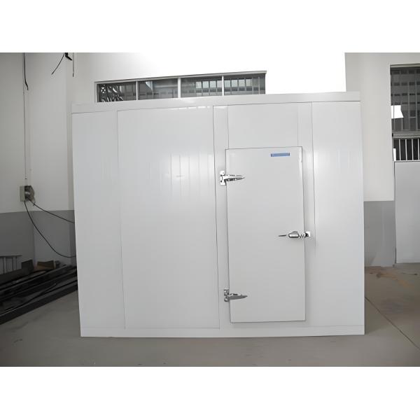 Energy Saving Cold Room Hinged Door With Customizable Cooling Capacity And