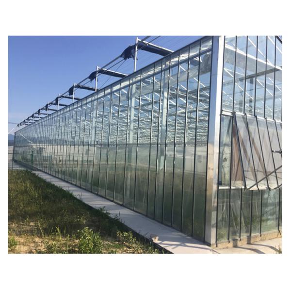 Glass for Outdoors Greenhouses Large Size and Hydroponic Nursery Sponge Advantage