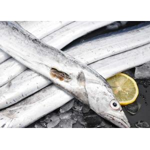 Quality Shihan Swimming Crab Frozen Ribbon Fish Natural Seafood Trichiurus Lepturus for sale