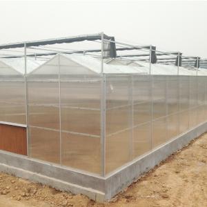 Quality Hydroponic System for Aquaponics in Multi-Span Agricultural Greenhouse for sale