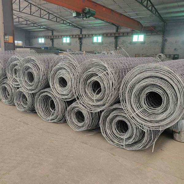 Standard Size Rock Fall Protection Mesh 8 X 80mm(W) X 120mm (H) 2.7mm 2m X 50m Gabion Wire Mesh Roll