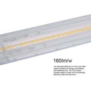 Black LED Linear Lighting System
