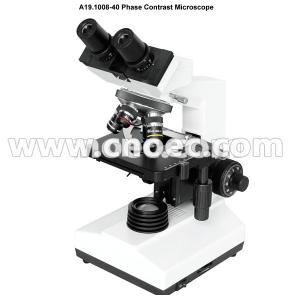 China 40X - 1000X Binocular Phase Contrast Microscopy for Laboratory , A19.1008-40 on sale