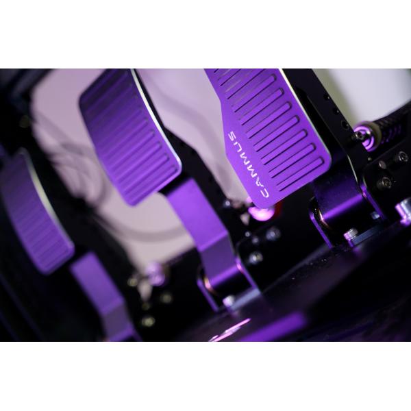 Amusement Park Racing Arcade Machine 15Nm PC Gaming Rig Simulator