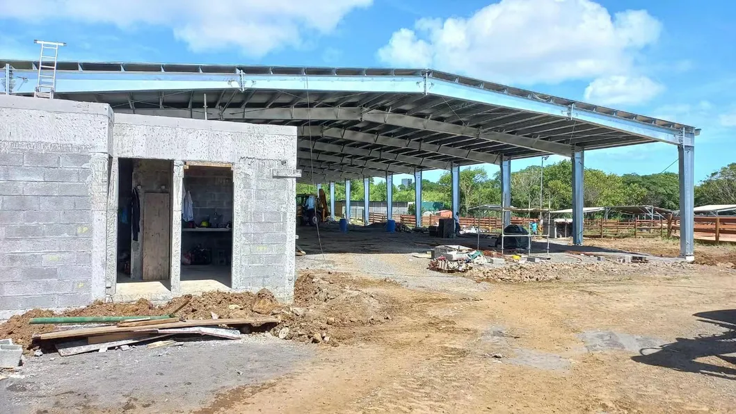 Wholesale 54 M2 Prefab Lightweight Steel Frame Garage Carport Storage Shed