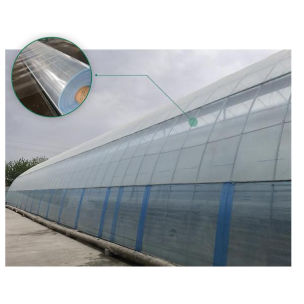Automatical Controlling System Galvanized Steel Frame Film Greenhouse for Agriculture