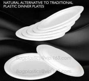 China round plate for dinner use, compostable products round plate for dinner, dinner plate products on sale