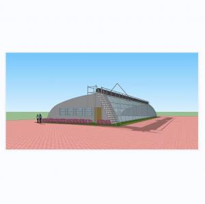 Quality 8m-16m Width PE Greenhouse for Winter Insulation Planting of Strawberries and Blanket for sale