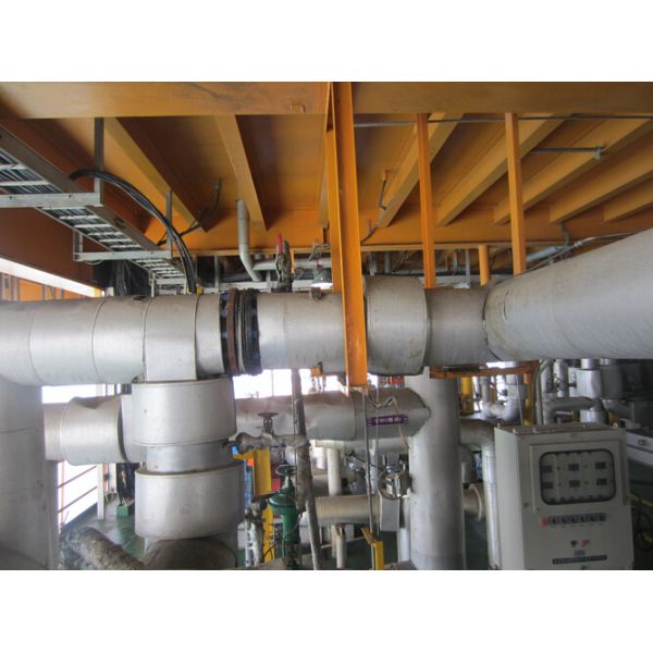 High Speed Homogenizer Machine 3000W For Algae Removal / Ribosome Adjustment