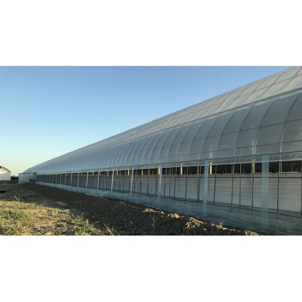 Galvanized Skeleton Cover Film for Agricultural Product in Shouguang Easy to Install