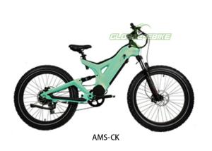 Quality 26 Inch E Bike Battery Powered Off Road Bike With 7 Speed Shimano Gears for sale