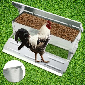 1.2mm Hot Galvanized 10.4L Automatic Timer Chicken Feeder