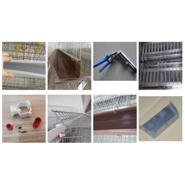 Electo Galvanized Chicken Layer Cage / Poultry Layer Cage Used For Chicken Farm
