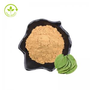 Quality Wholesale Pure Icariin Bulk Price Epimedium Extract Icariin Powder 98% for sale