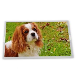 China G101ICE-L01 10.1Inch LCD Screen G101EVN01.0 BP101WX1-206 EJ101IA-01G G101EVN01.3 G101STN01.2 M101NWWB R3 N101ICG-L11 G101EVN03.1 on sale