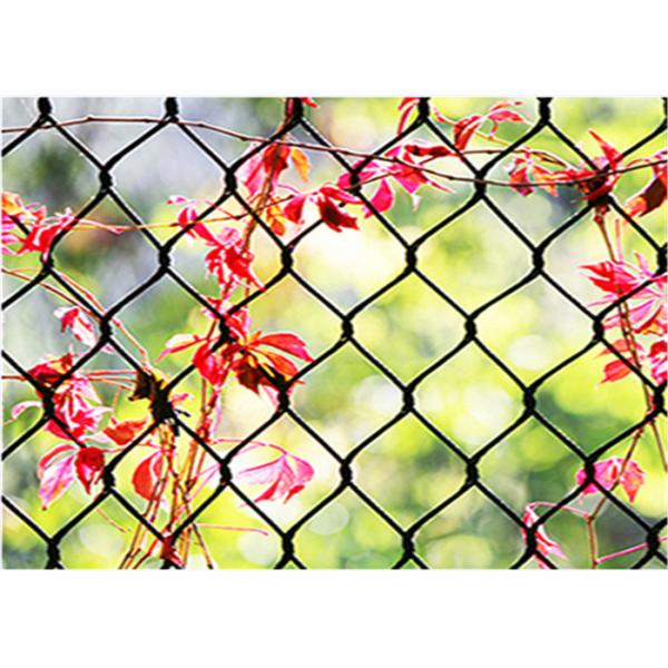 Anti Falling Ss316 Stainless Steel Wire Rope Mesh Net 3.0mm Ferruled Type