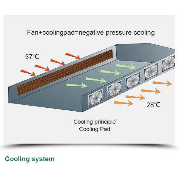 Multi-span Agricultural Glass Greenhouse with Film Covering Width 8m or Customizable