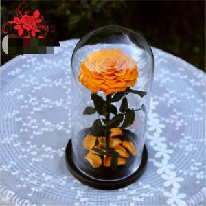 Quality Natural Fresh flower rose Preserved rose in glass terrariums with base for luxury gifts for sale