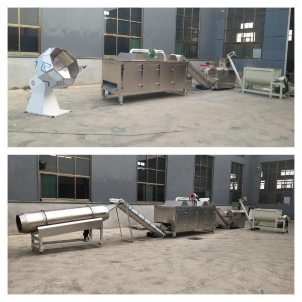 Automatic Twin Screw Flaoting Fish Feed Production Line Fish Feed Extruder
