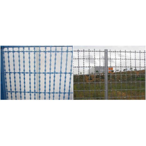Hot dipped galvanized welded razor blade wire mesh fence