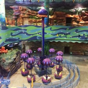 Thrilling Free Fall Tower Samba Drop Ride Lovely Jellyfish Shape