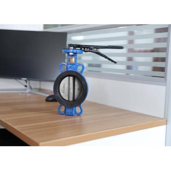 DN200 Wafer Type Valve Cast Iron Without Pin Clear Water Material