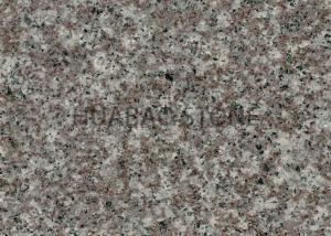 Quality Misty Brown Granite Bathroom Countertops G664 Non Slip Water Absorption for sale