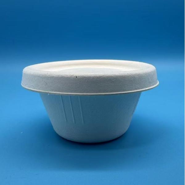 New Design Paper Plup Sauce Cup Biodegradable 3oz Biodegradable and Disposable Sauce Cup With Lid
